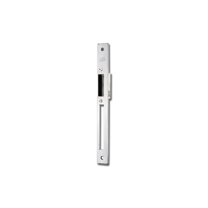 Gâche Encastrée Rupture 12 V Dc + Tétière Inox