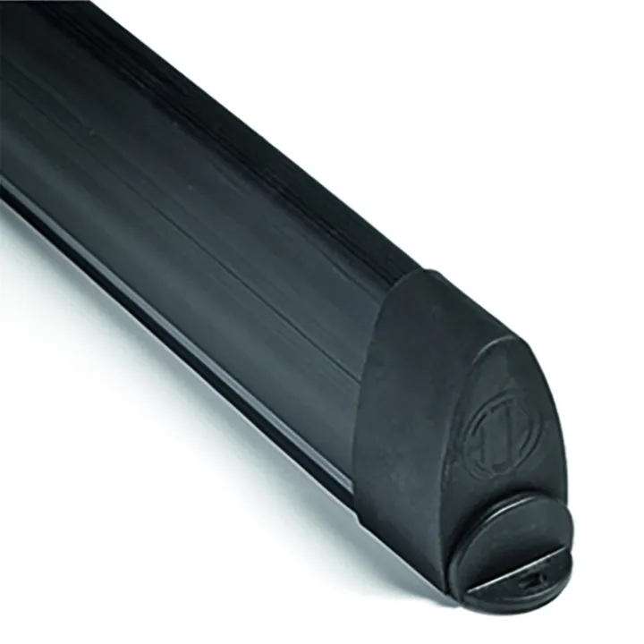 Palpeur Résistif Complet 30Mm Lg 4M