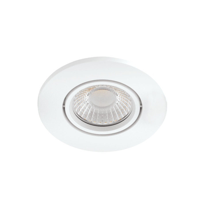 Enc Basc Edo Ip65 Re2020 Vol1 Cct 2700-3000-4000K 6W 600Lm Dimmable 50000H