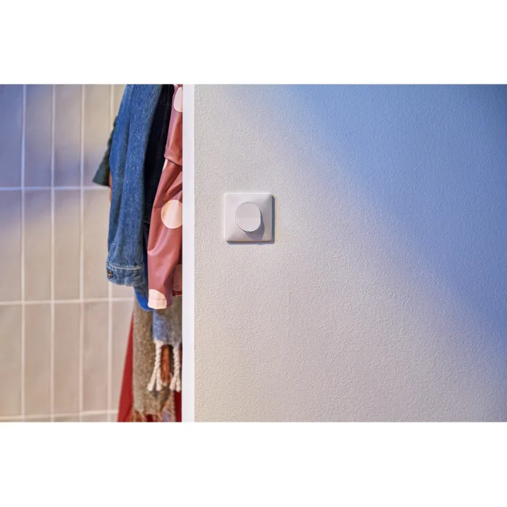 Ovalis - Interrupteur Va Et Vient - 10Ax - Lumineux Ou Témoin - Blanc