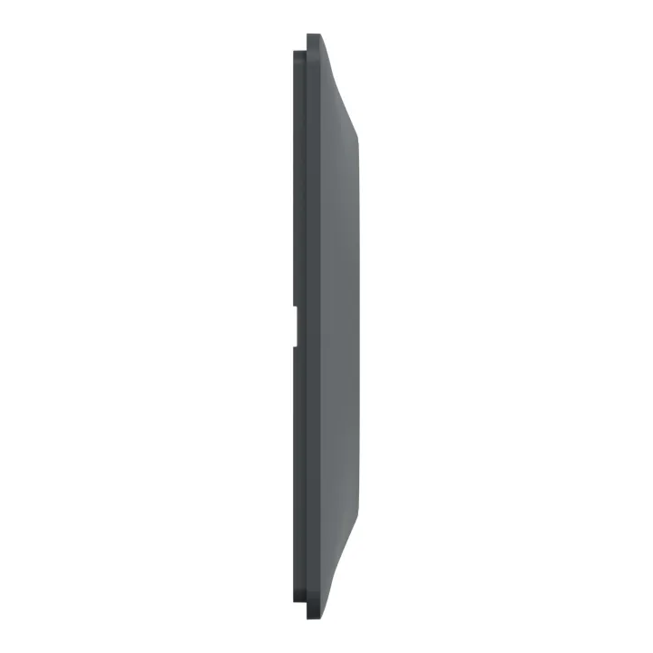 Ovalis - Plaque De Finition - 1 Poste Anthracite Bague Effet Laiton
