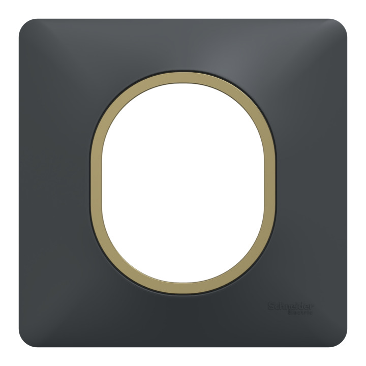 Ovalis - Plaque De Finition - 1 Poste Anthracite Bague Effet Laiton