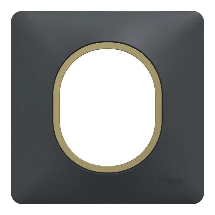 Ovalis - Plaque De Finition - 1 Poste Anthracite Bague Effet Laiton