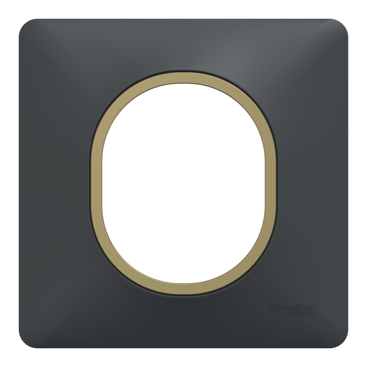 Ovalis - Plaque De Finition - 1 Poste Anthracite Bague Effet Laiton