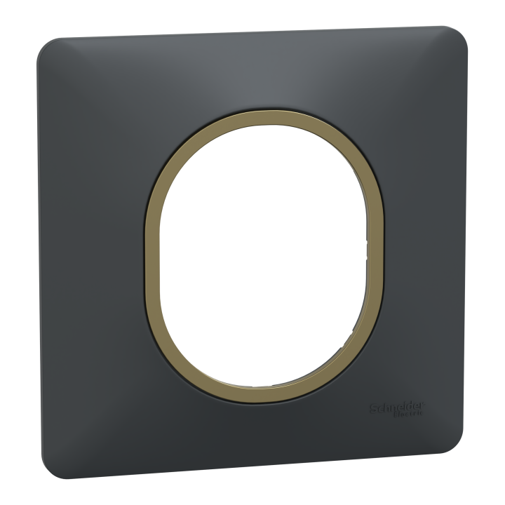 Ovalis - Plaque De Finition - 1 Poste Anthracite Bague Effet Laiton