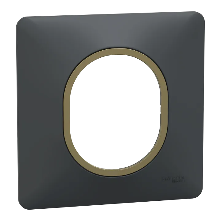 Ovalis - Plaque De Finition - 1 Poste Anthracite Bague Effet Laiton