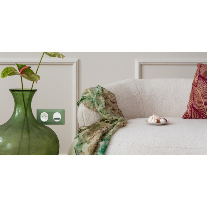 Ovalis - Plaque De Finition - 1 Poste Anthracite Bague Effet Laiton