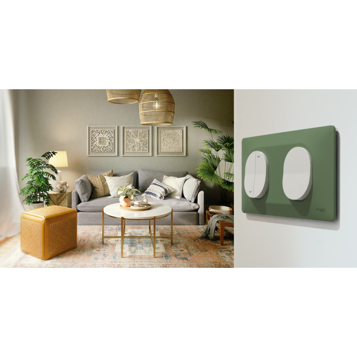 Ovalis - Plaque De Finition - 1 Poste Anthracite Bague Effet Laiton