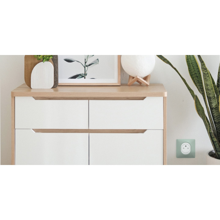 Ovalis - Plaque De Finition - 1 Poste Anthracite Bague Effet Laiton