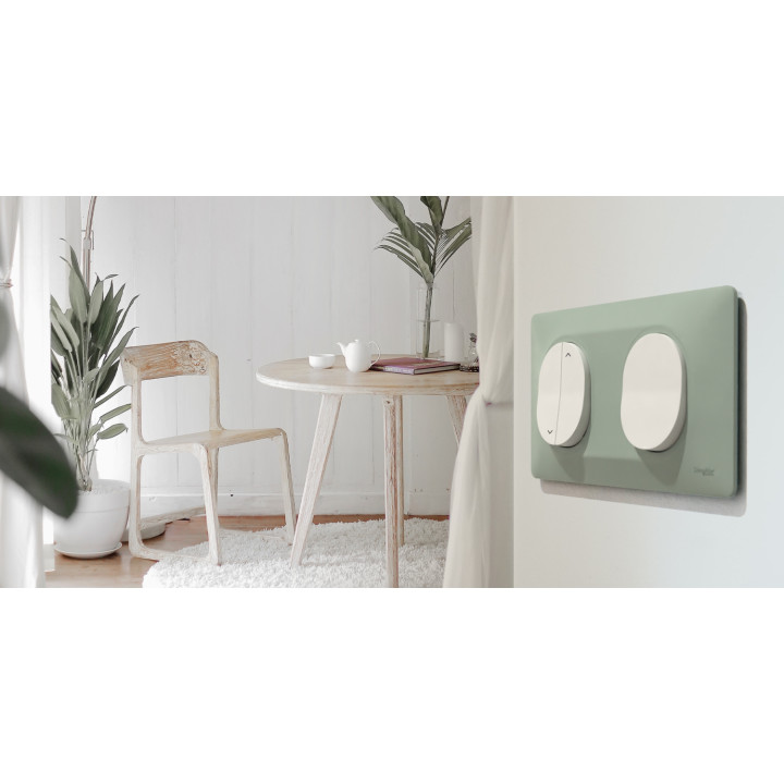 Ovalis - Plaque De Finition - 1 Poste Anthracite Bague Effet Laiton