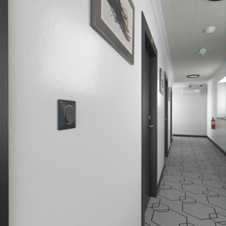 Ovalis - Plaque De Finition - 1 Poste Anthracite Bague Effet Laiton