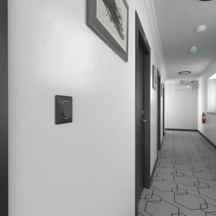 Ovalis - Plaque De Finition - 1 Poste Anthracite Bague Effet Laiton