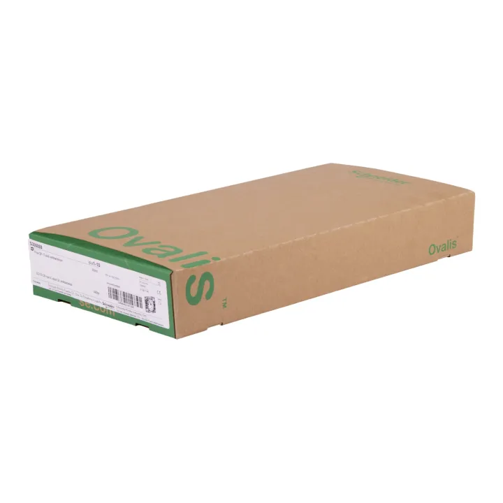 Ovalis - Lot De 108 2P+T Affleurantes S320052 - 16A - Blanc - Ss Emballage Unit