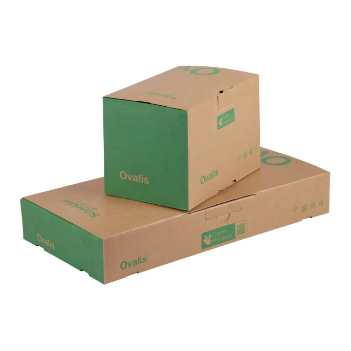 Ovalis - Lot De 180 Plaques - 2 Postes Horizontal - Finition Blanc S320704