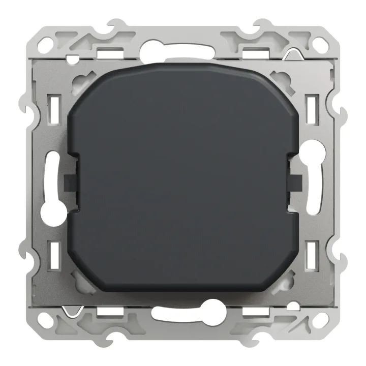 Odace - Variateur De Lumière Universel En 2 Ou 3 Fils 3W-100W(Led) - Anthracite
