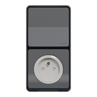 Mureva Styl - Prise courant 2P+T+va et vient verti. - saillie - IP55 IK08 - gris