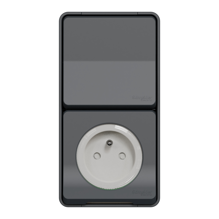 Mureva Styl - Prise courant 2P+T+va et vient verti. - saillie - IP55 IK08 - gris