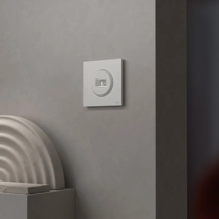 Odace - Plaque De Finition 1 Poste - Couleur Blanc Craie