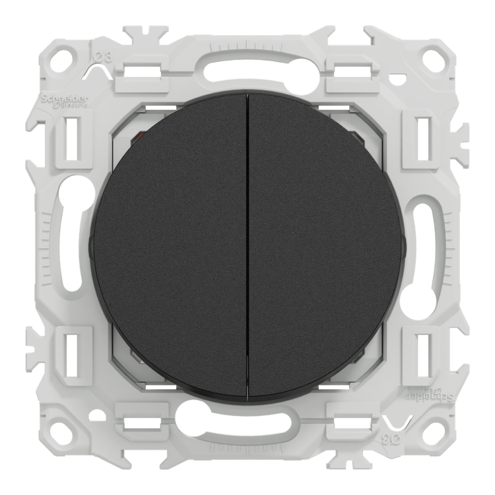 Odace - double va-et-vient ou poussoir - 10AX - noir onyx