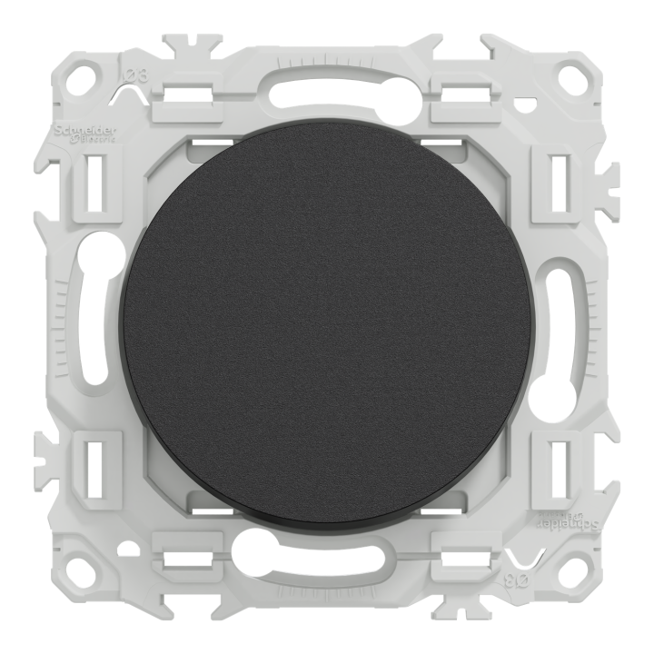 Odace - va-et-vient ou poussoir - 10AX - noir onyx