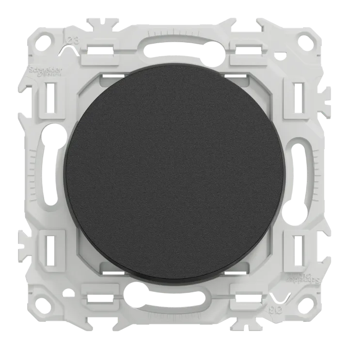 Odace - Va-Et-Vient Ou Poussoir - 10Ax - Noir Onyx