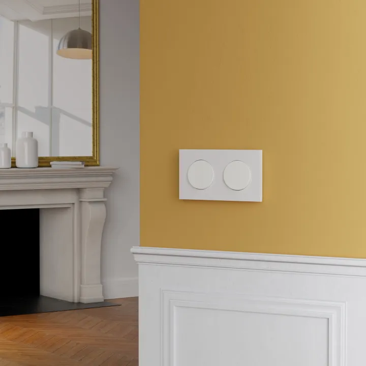 Odace - Double Va-Et-Vient Ou Poussoir - 10Ax - Blanc Craie