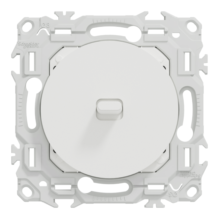 Odace - va-et-vient ou poussoir à levier - 10AX - blanc craie