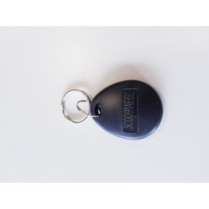 Badge Passif De Proximité Em Format Niso Jeton Porte Clé, Pour Lecteur 125Khz
