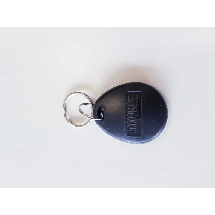 Badge Passif De Proximité Em Format Niso Jeton Porte Clé, Pour Lecteur 125Khz