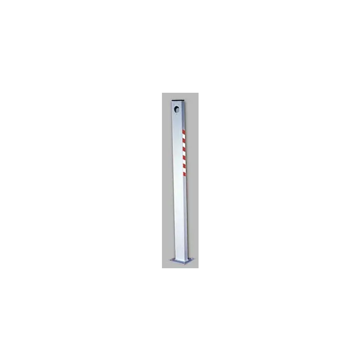 Cccessoire Potelet Métallique Gris Pour Lecteur, H1110 X L80Mm