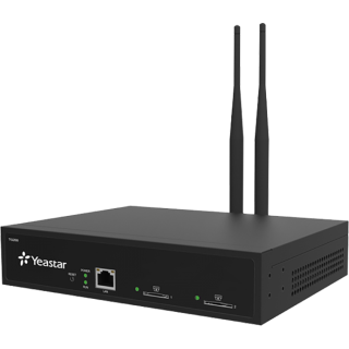 Transmetteur Gsm 2 Voies Neogate Réf. Tg200