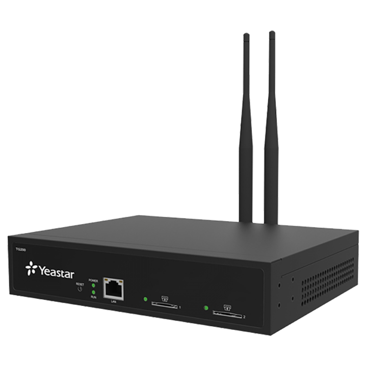 Transmetteur Gsm 2 Voies Neogate Réf. Tg200