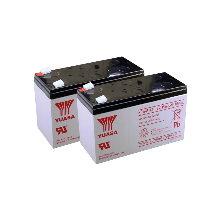 Option 2 Batteries 12V 8,5Ah Avec Raccordement