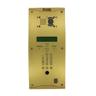 Platine alu champagne découpe droite couleur champagne + 1250IV inclus