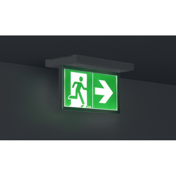 Ultraled 2-Baeh-Pose Dual Mur Ou Plafond-Sati-8 Lumens/5 Heure D