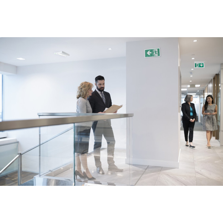 BAES évacuation SATI - 45lm/1h - IP43 IK07 - Pose mur/plafond - Visibilité+