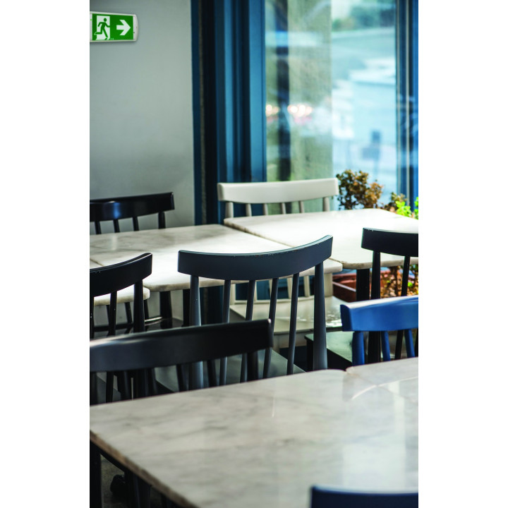 BAES évacuation SATI - 45lm/1h -  IP65 IK10 - Installation facile