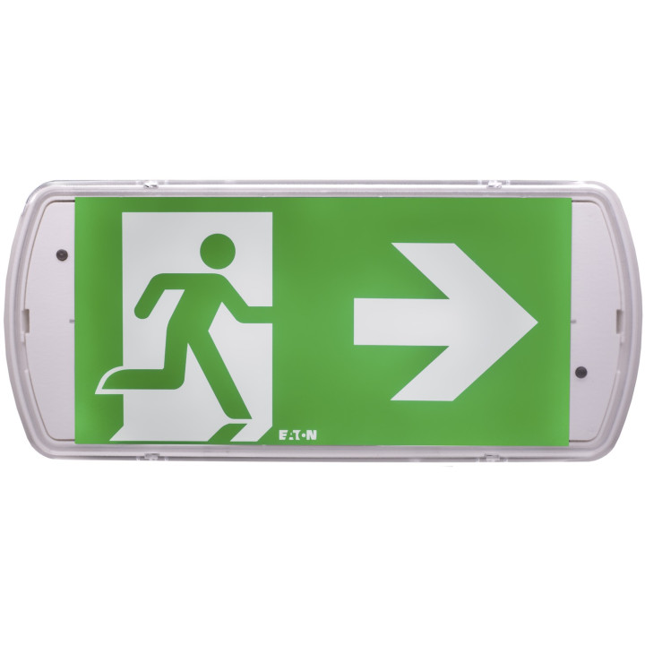 BAES évacuation SATI - 45lm/1h - IP42 IK07 - Installation facile