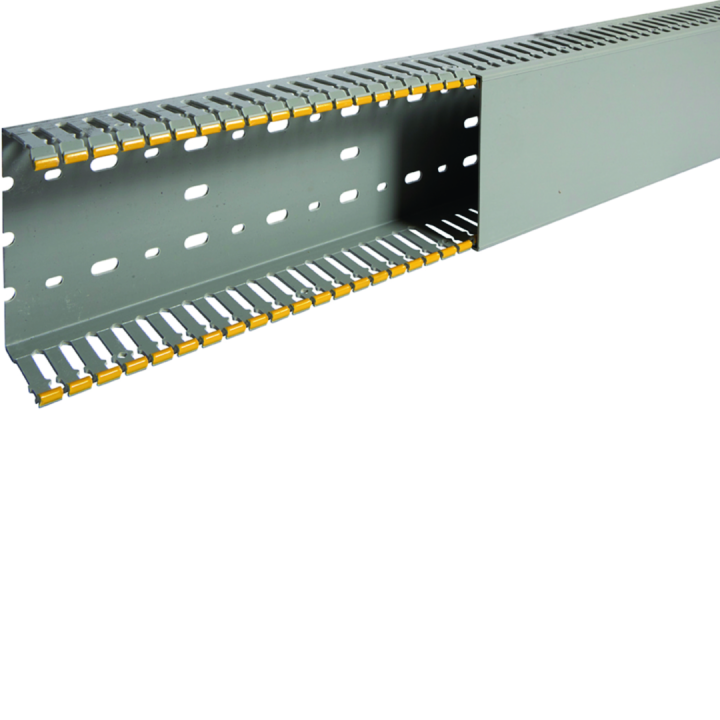 Goulotte de câblage au pas de 12,5 T1-D 100x60 grise