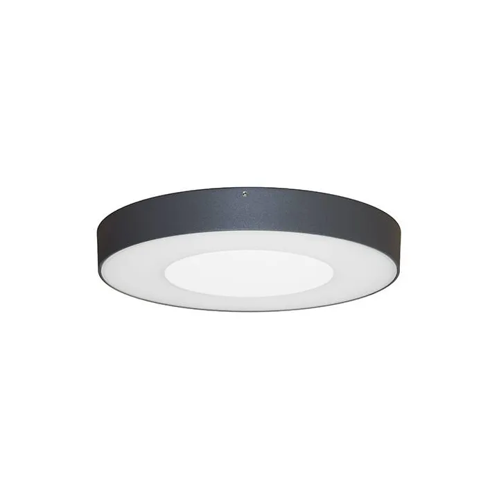 Applique Aspus 1 Sensor Plu 30W 3000Lm Ip54 Anthracite