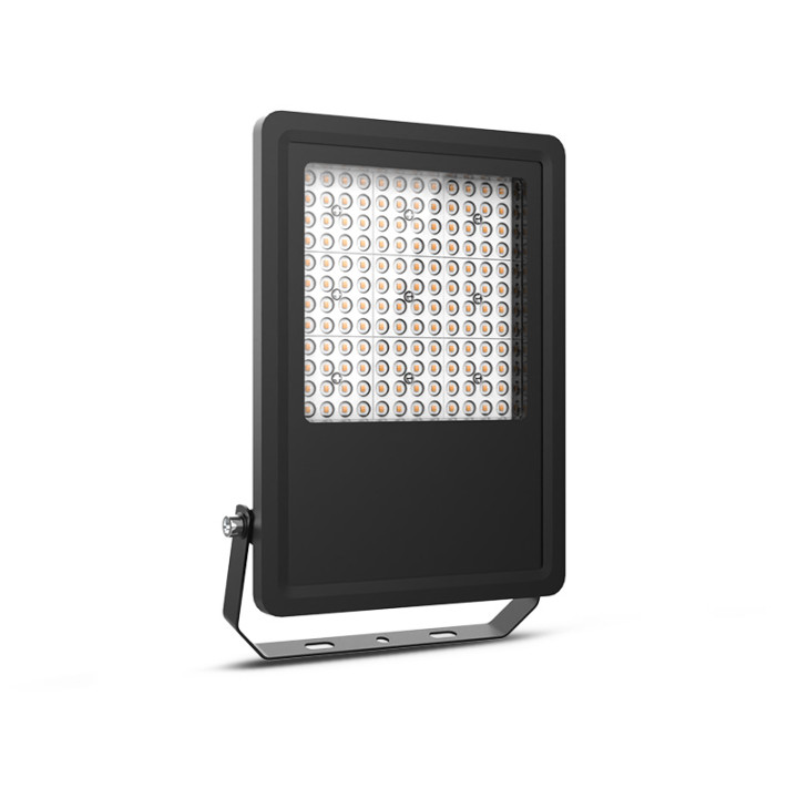 Lumos Pro Projecteur 100W 3Cct Ip65 5Ans