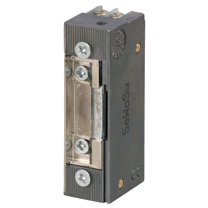 Gâche Électrique 1 Roureg Diode 24V Dc