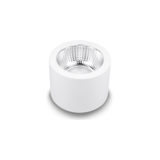 SPEQTRIS Downlight SUNSET 13W CCT changing Blanc
