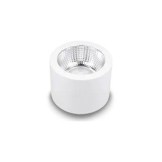 Speqtris Plafonnier Downlight Sunset 13W Cct Changing Blanc