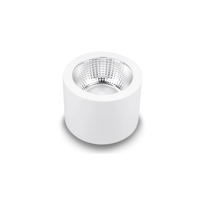 Speqtris Plafonnier Downlight Sunset 13W Cct Changing Blanc
