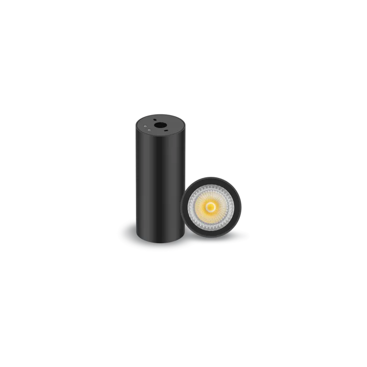 Plafonnier Downlight Leo 10/12/15W, Cct Changing, 60°, Finition Noir