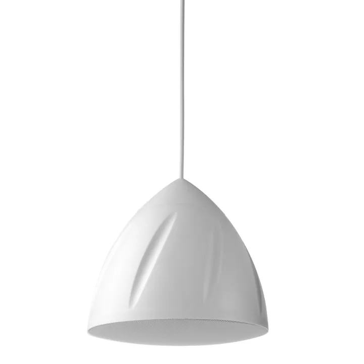 Enceinte Suspendue, 100 V / 8 Ω, 30 W, 5,25", 2 Voies, Blanche - Pds40W