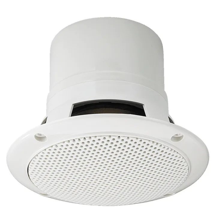 Haut-Parleur Public Adress, Encastré, 100 V, 20 W, Ip44