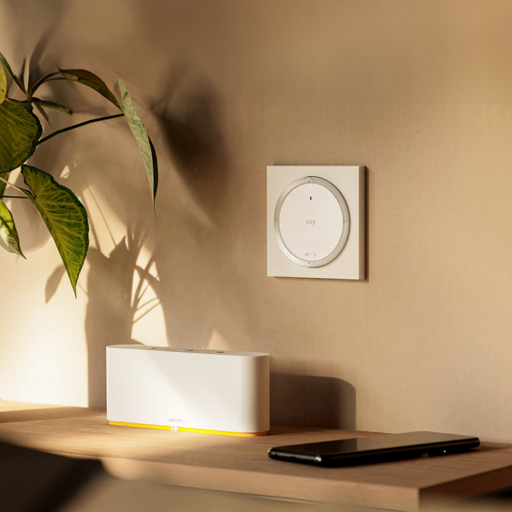 Commande 1 Canal Io® Avec Capteur De Température Activable Via Tahoma®