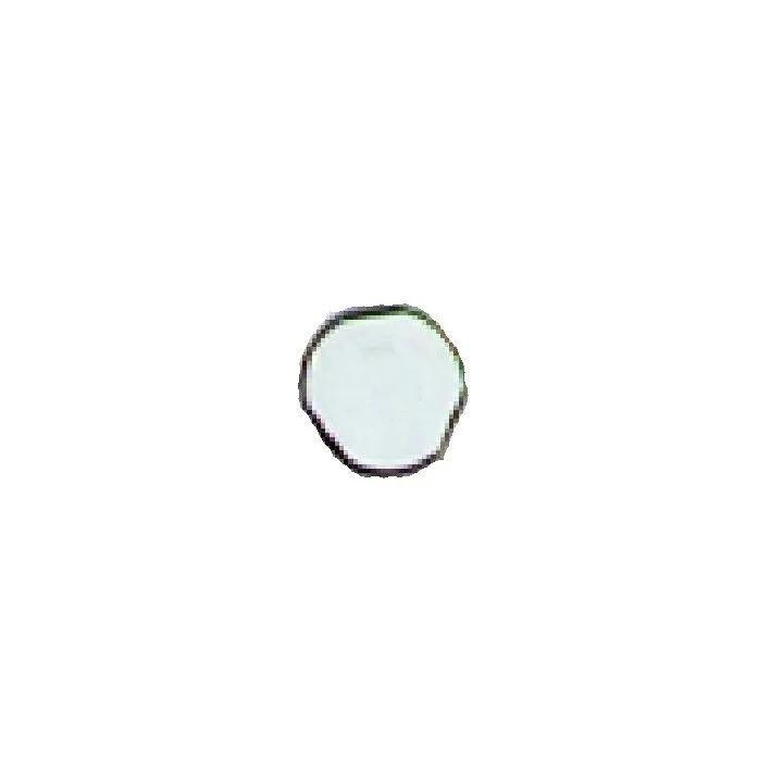 Vis Antivandale M5X25 pour systèmes URMET